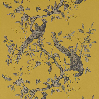 Флизелиновые обои Darnley Wallpapers Zoffany 312884