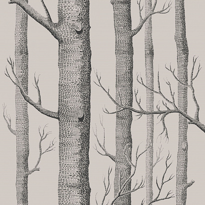 Флизелиновые обои Icons Cole & Son 112/3009