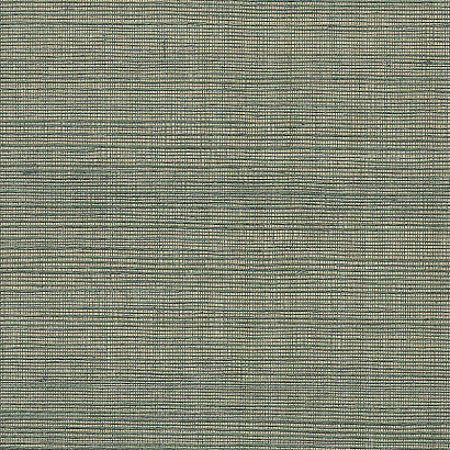 Виниловые обои Specialty Grasscloths&Veneers Paper&Ink NS51804