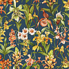 Флизелиновые обои Colour 4 Harlequin 113010