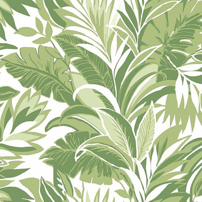 Бумажные обои Conservatory York Wallcoverings CY1565